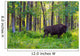 Single Bison Wall Mural