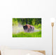 Bison Pawing The Dirt Wall Mural