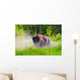 Bison Pawing The Dirt Wall Mural