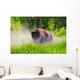 Bison Pawing The Dirt Wall Mural