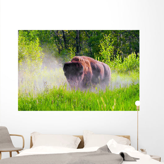 Bison Pawing The Dirt Wall Mural