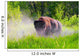 Bison Pawing The Dirt Wall Mural