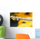 Yellow Flowers Reflected In Dew Drops Wall Mural