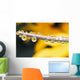 Yellow Flowers Reflected In Dew Drops Wall Mural