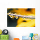 Yellow Flowers Reflected In Dew Drops Wall Mural