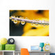 Yellow Flowers Reflected In Dew Drops Wall Mural