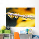 Yellow Flowers Reflected In Dew Drops Wall Mural
