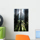 Sunshine Through Fog And Trees Wall Mural