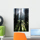 Sunshine Through Fog And Trees Wall Mural