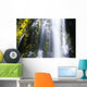 Falls With Blur Motion Wall Mural