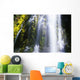 Falls With Blur Motion Wall Mural