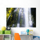 Falls With Blur Motion Wall Mural