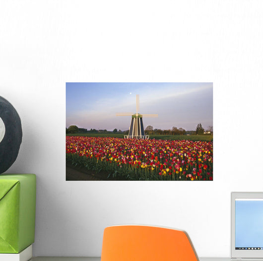 Tulip Field And Windmill Wall Mural