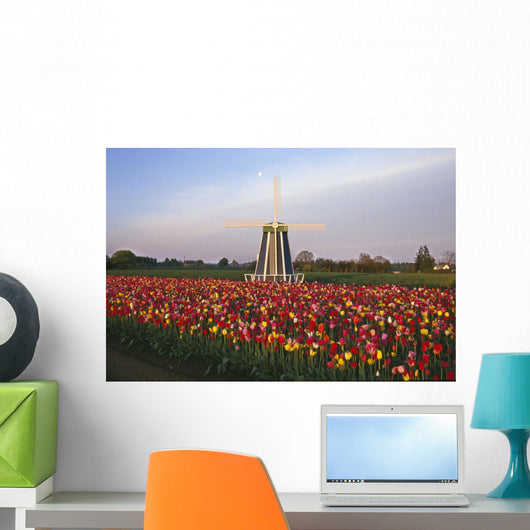 Tulip Field And Windmill Wall Mural