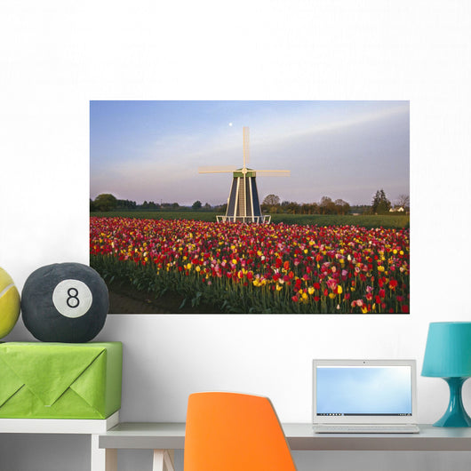 Tulip Field And Windmill Wall Mural