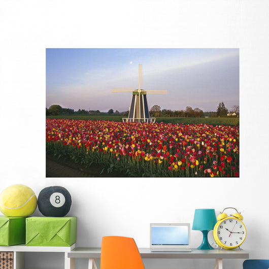 Tulip Field And Windmill Wall Mural