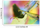 Close-Up Of Praying Mantis Wall Mural