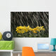 Rain On Yellow Daisies Wall Mural