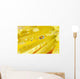 Yellow Flowers Reflected In Dew Drop Wall Mural
