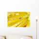 Yellow Flowers Reflected In Dew Drop Wall Mural