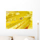 Yellow Flowers Reflected In Dew Drop Wall Mural
