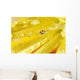 Yellow Flowers Reflected In Dew Drop Wall Mural