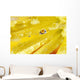 Yellow Flowers Reflected In Dew Drop Wall Mural