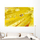 Yellow Flowers Reflected In Dew Drop Wall Mural