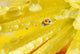 Yellow Flowers Reflected In Dew Drop Wall Mural