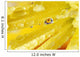 Yellow Flowers Reflected In Dew Drop Wall Mural
