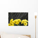 Raining On Yellow Daisies Wall Mural