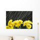 Raining On Yellow Daisies Wall Mural