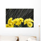 Raining On Yellow Daisies Wall Mural