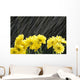 Raining On Yellow Daisies Wall Mural