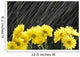 Raining On Yellow Daisies Wall Mural