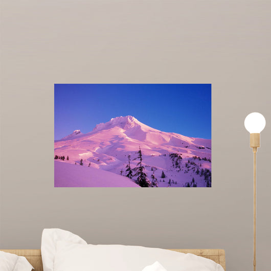Sunrise On Mt Hood, Oregon, Usa Wall Mural