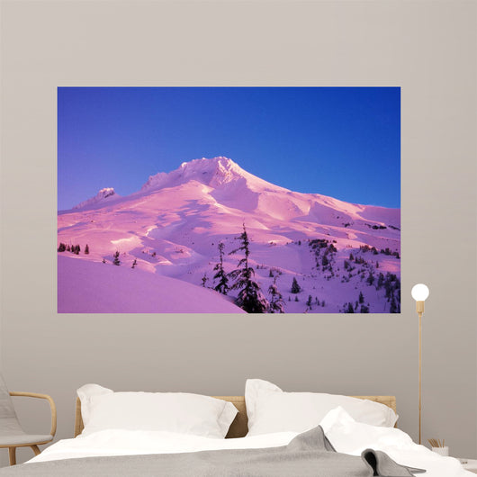 Sunrise On Mt Hood, Oregon, Usa Wall Mural