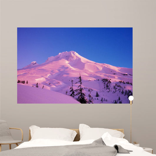 Sunrise On Mt Hood, Oregon, Usa Wall Mural