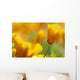Yellow Poppy Wall Mural