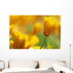 Yellow Poppy Wall Mural