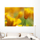 Yellow Poppy Wall Mural