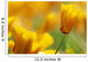 Yellow Poppy Wall Mural