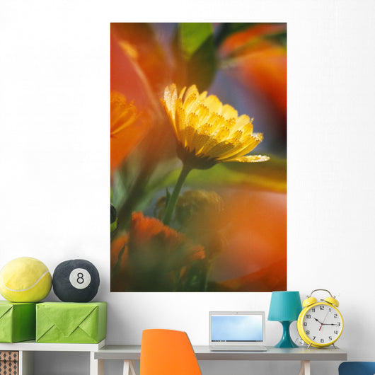 Close-Up Of Wildflower Wall Mural