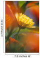 Close-Up Of Wildflower Wall Mural