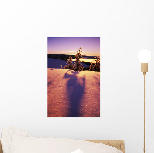 Sun Casting Shadows On Snow Covered Trees Wall Mural