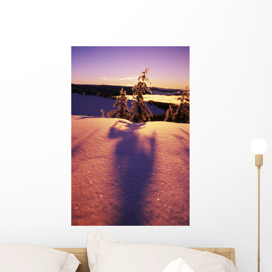 Sun Casting Shadows On Snow Covered Trees Wall Mural