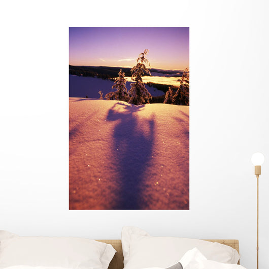 Sun Casting Shadows On Snow Covered Trees Wall Mural