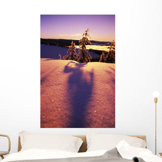 Sun Casting Shadows On Snow Covered Trees Wall Mural
