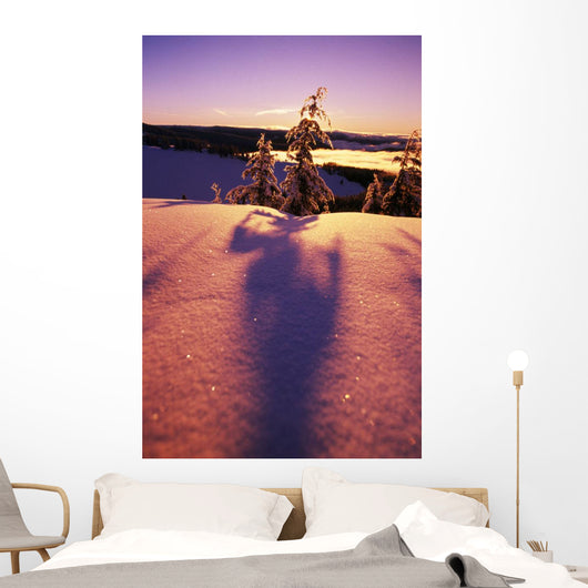 Sun Casting Shadows On Snow Covered Trees Wall Mural