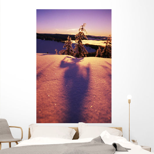 Sun Casting Shadows On Snow Covered Trees Wall Mural